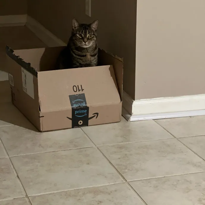Julie Martin-Loving  Reliable Cat Care photo 3