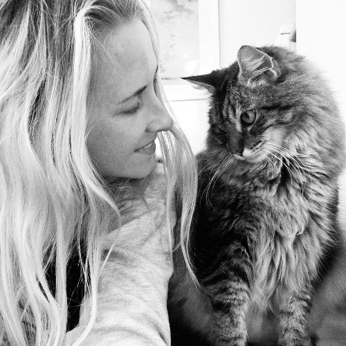 Amy The Cat Lady In Manhattan Beach