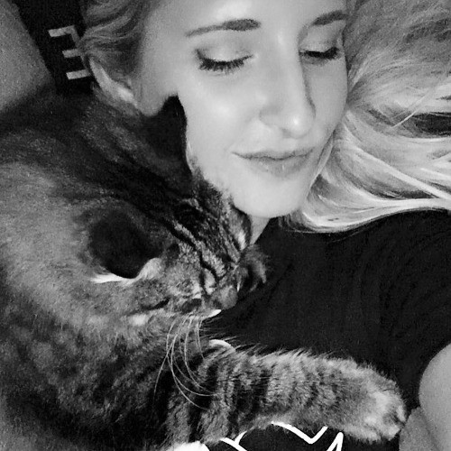 Amy The Cat Lady In Manhattan Beach
