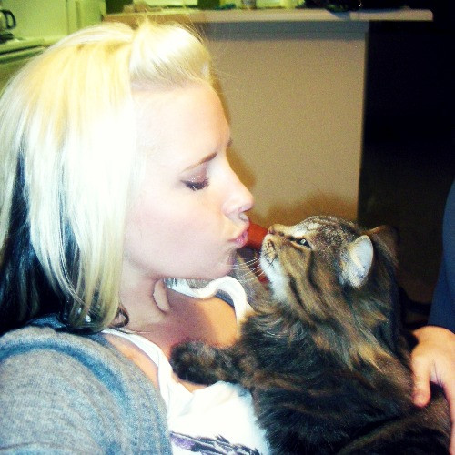 Amy The Cat Lady In Manhattan Beach