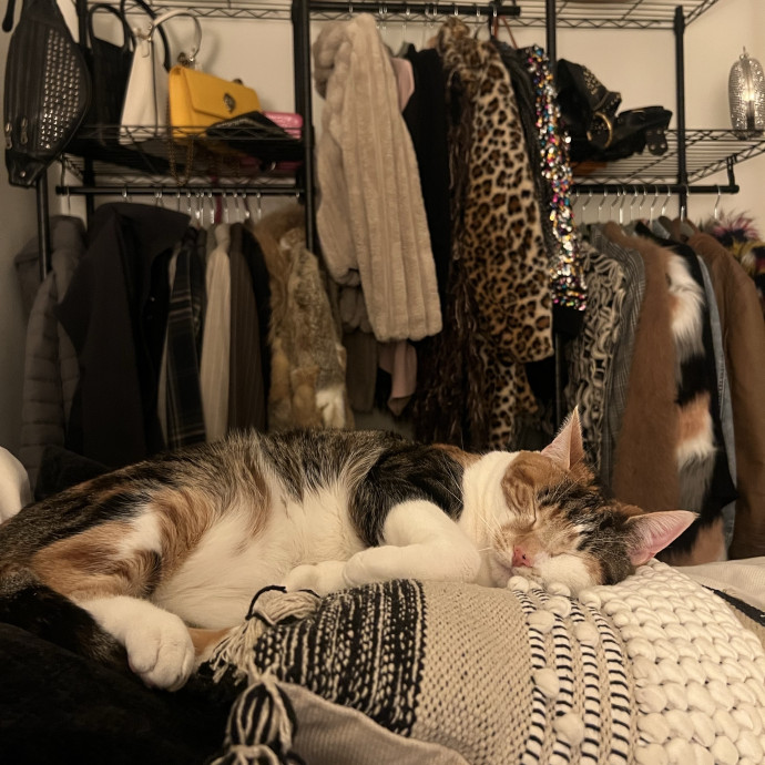 Meower Magic With Christine