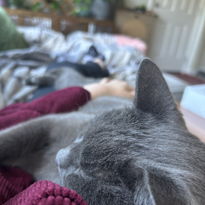 Overflowing With Cat Love To Share
