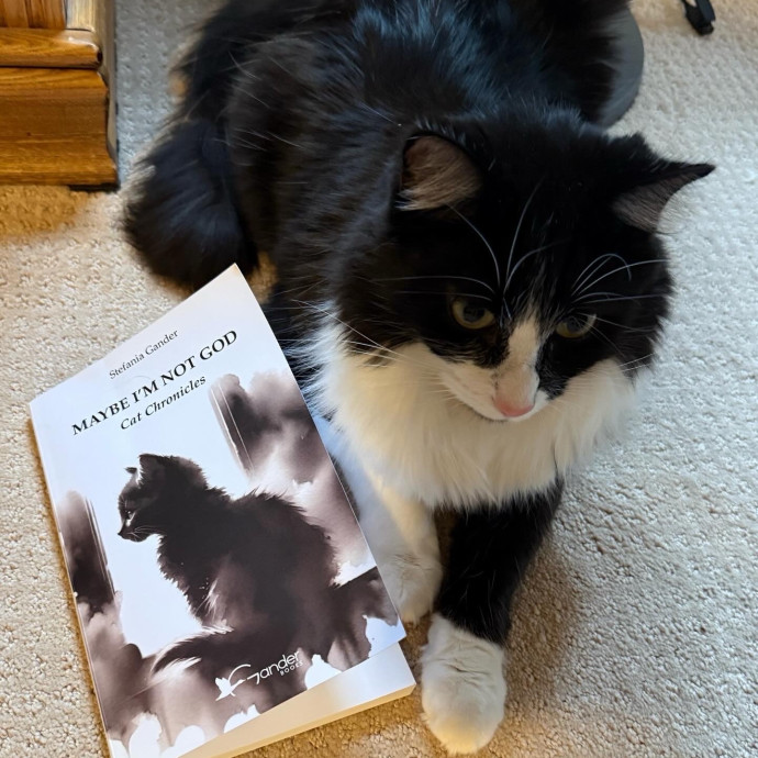 Lifelong Cat Mom  Trusted Caregiver
