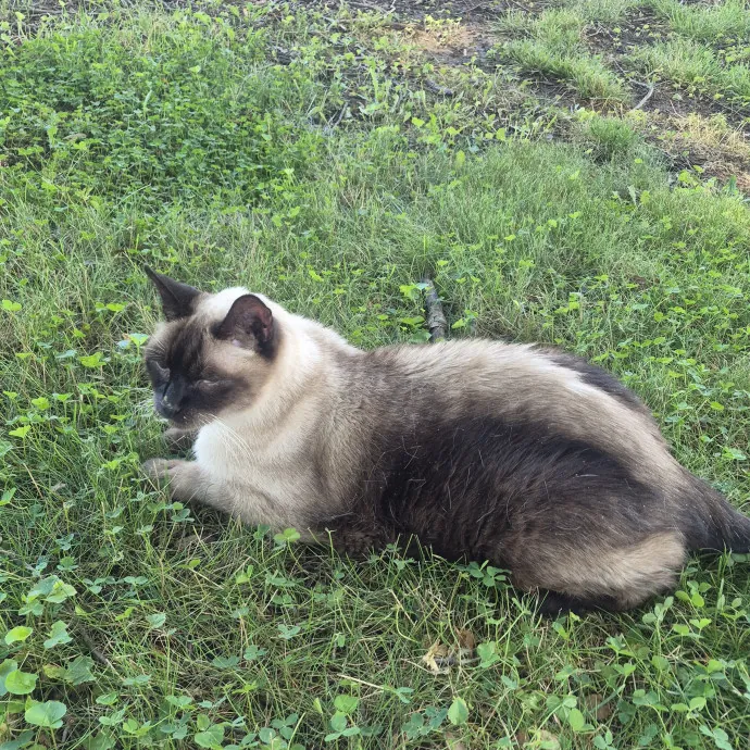 Tina A.