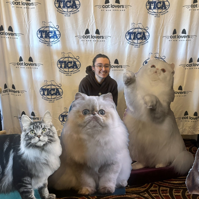 Full Time Cat Lover