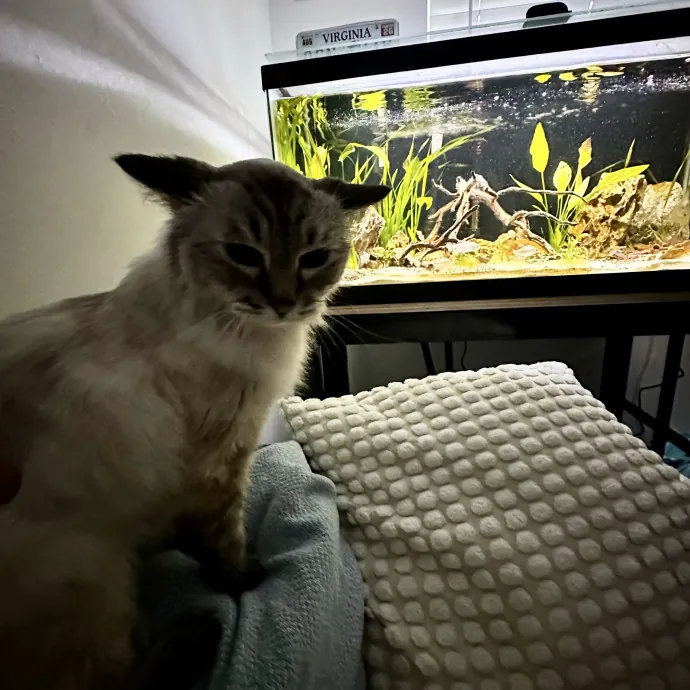 Janelle M.