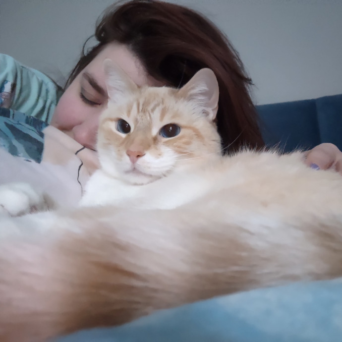 A Pawsionate Cat Caregiver