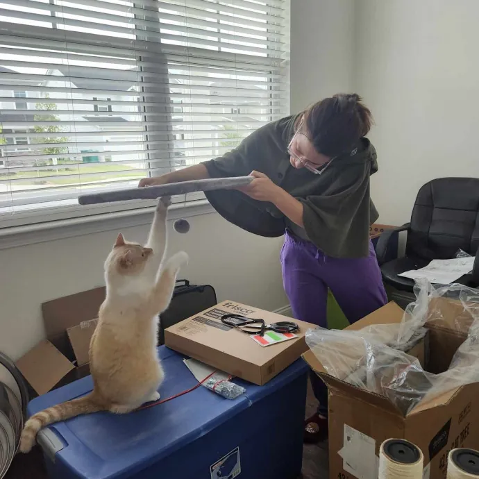 A Pawsionate Cat Caregiver photo 2