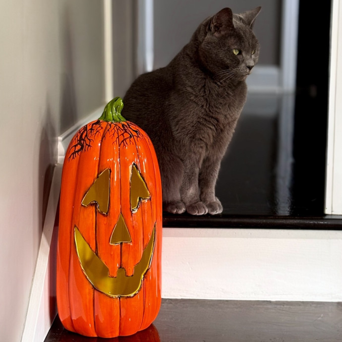 Full Time Cat Lover photo 2