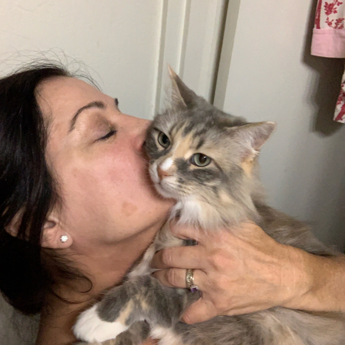 Trusted Cat Whisperer Loving Sitter