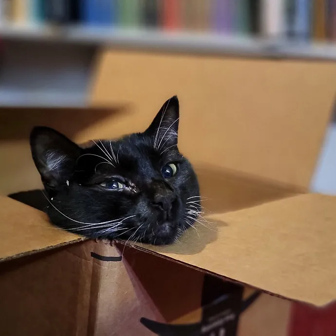 Crystal Whiskers Pampering Purrfectly