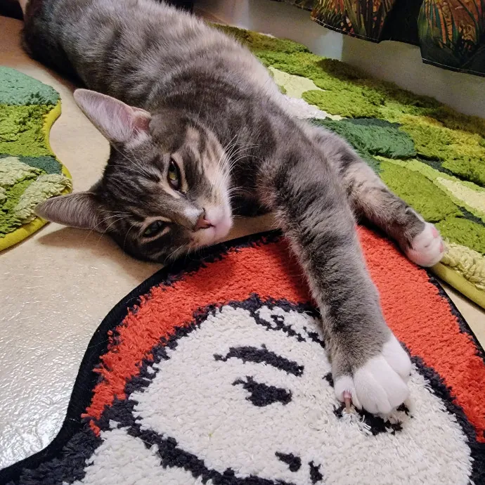 Crystal Whiskers Pampering Purrfectly