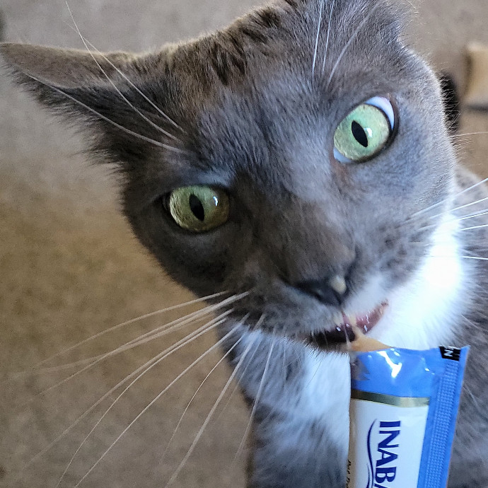 Crystal Whiskers Pampering Purrfectly