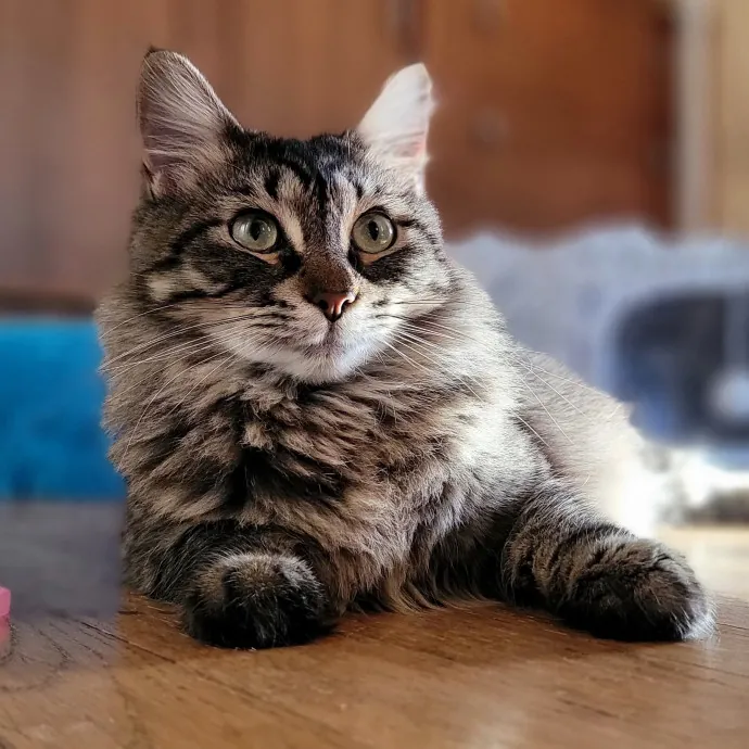 Crystal L.