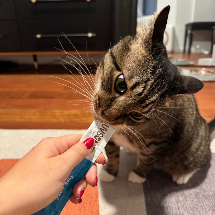 I'm Taylor Your Next Cat Sitter