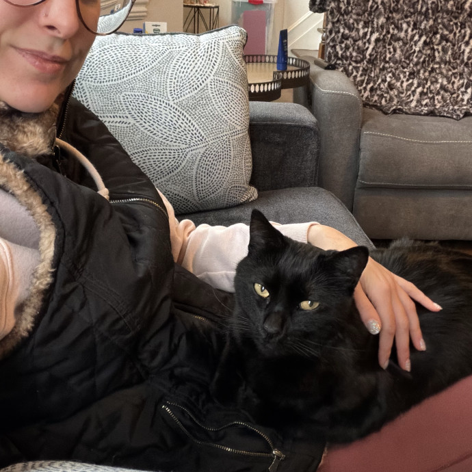 Your Cat's New Bestie
