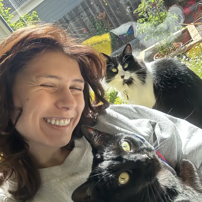 A Substitute Cat Mom For Your Fur Babies