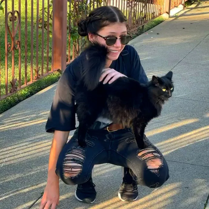 A Substitute Cat Mom For Your Fur Babies photo 3