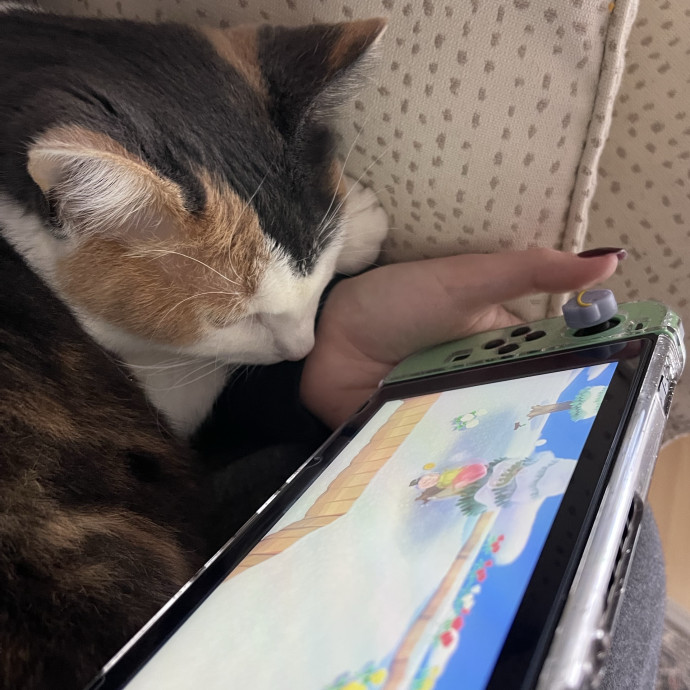 Life-Long Cat Mom