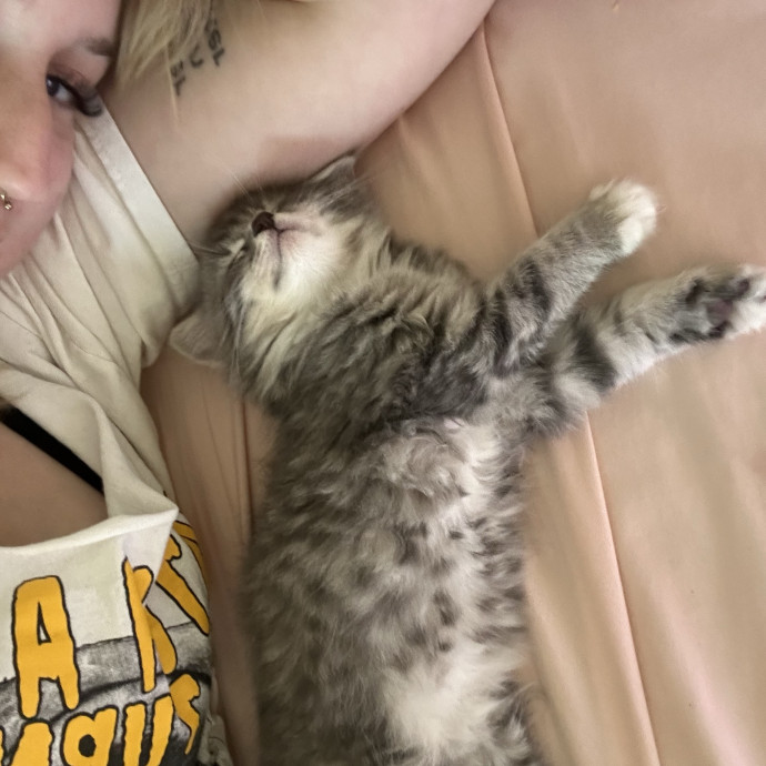 Life-Long Cat Mom photo 2