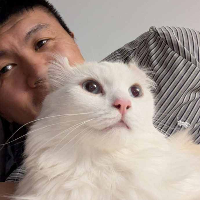 Experienced Feline Caretaker