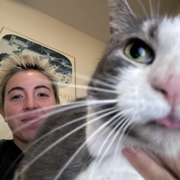 Animal Lover And Cat Sitter