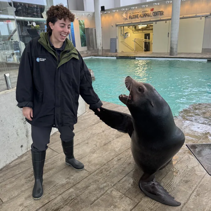 Animal Lover And Cat Sitter