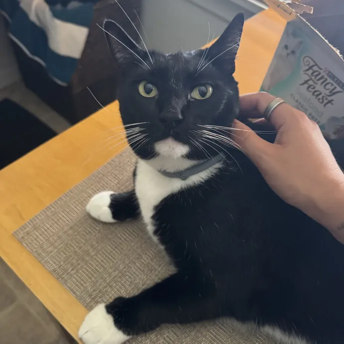 Ellie B.