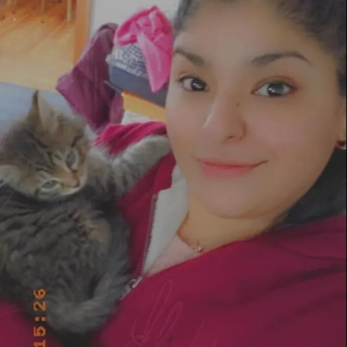 The Marvelous Cat Sitter photo 4