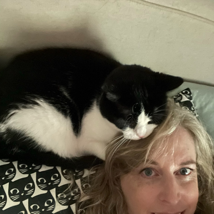 Nova Cat Sitter
