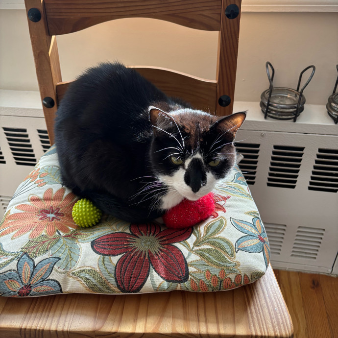 Cat Mom Spreading Love photo 3