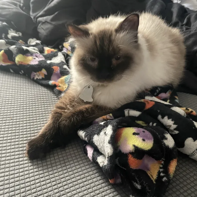 Lily F.