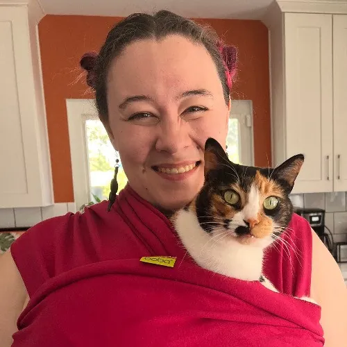 Totally Pawsome Cat Sitting In Montrose