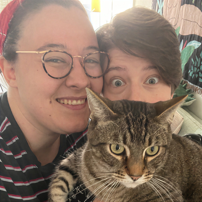 Totally Pawsome Cat Sitting In Montrose