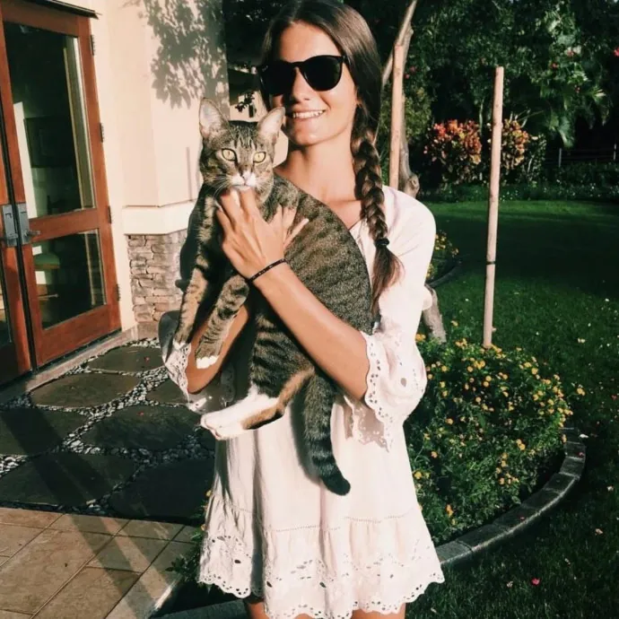 Alexa's Bay Area Kitty Care photo 4