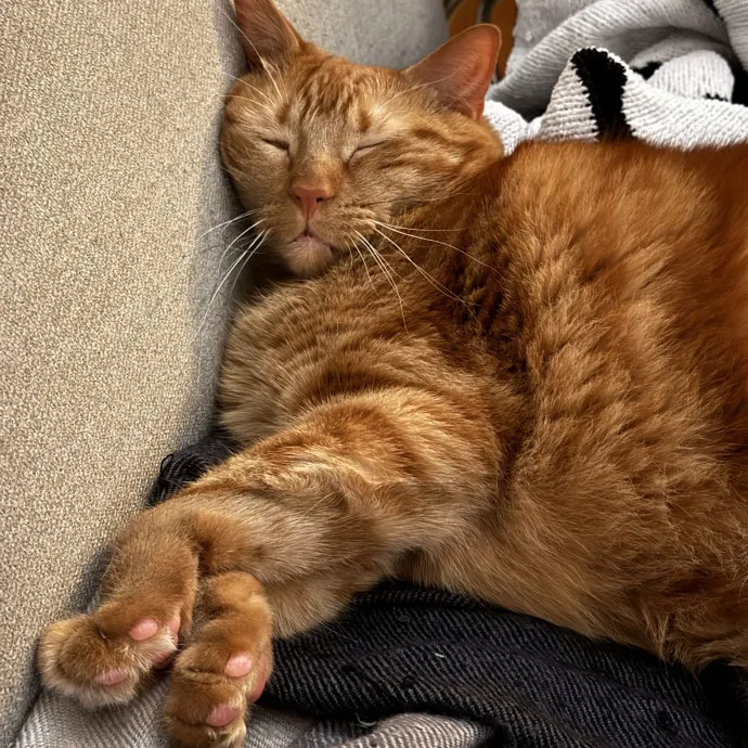 Jeffrey J.