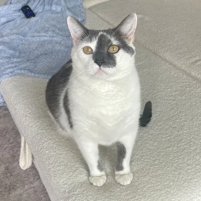 Sadie H.