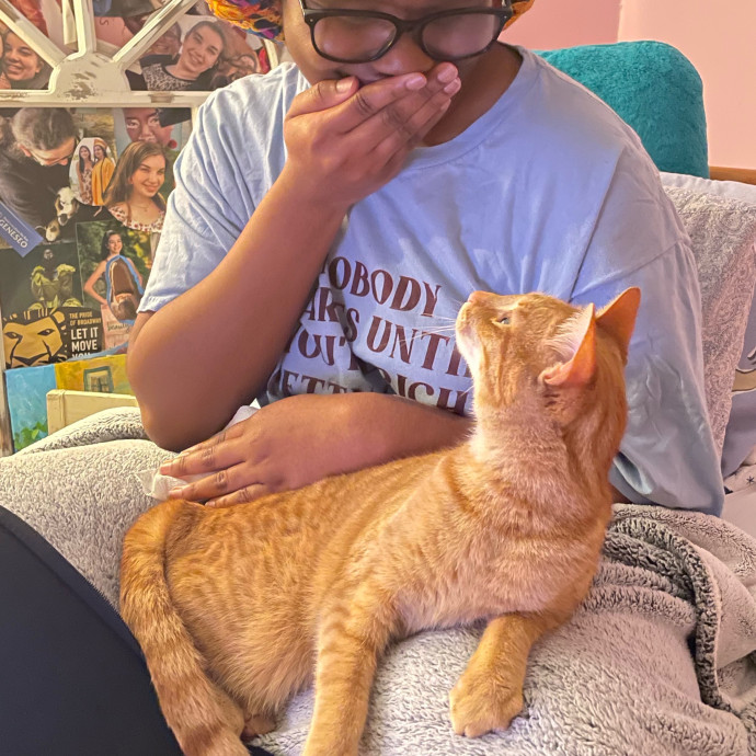 Z's Cat Sitting World