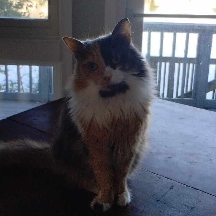 Kitty Love Virginia Bch