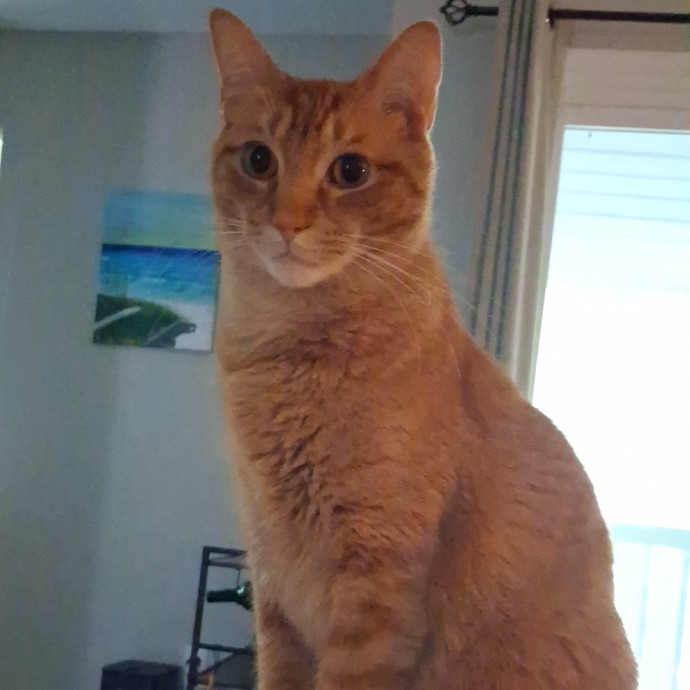Kitty Love Virginia Bch