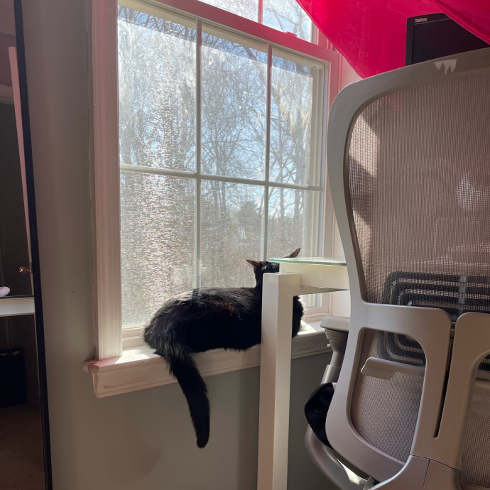 Sana - Cat Sitter