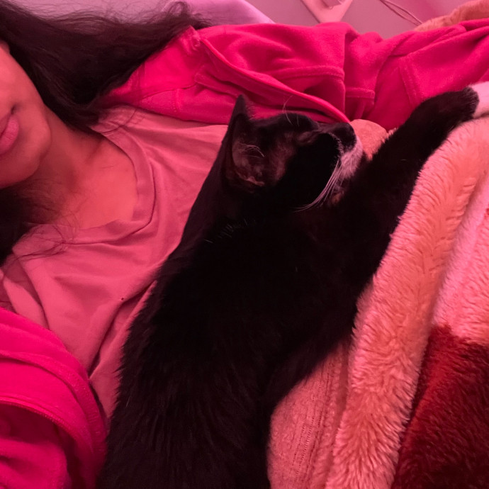 Sana - Cat Sitter