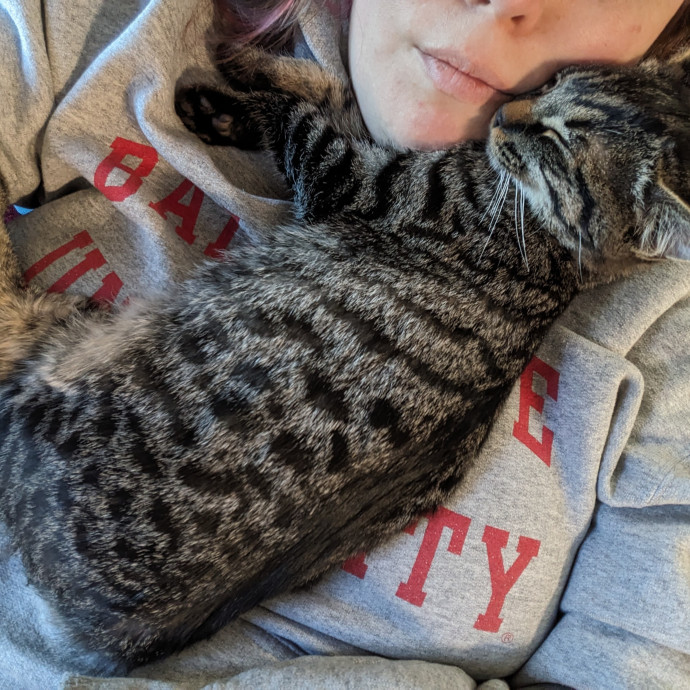 Reliable And Compassionate Cat Lady