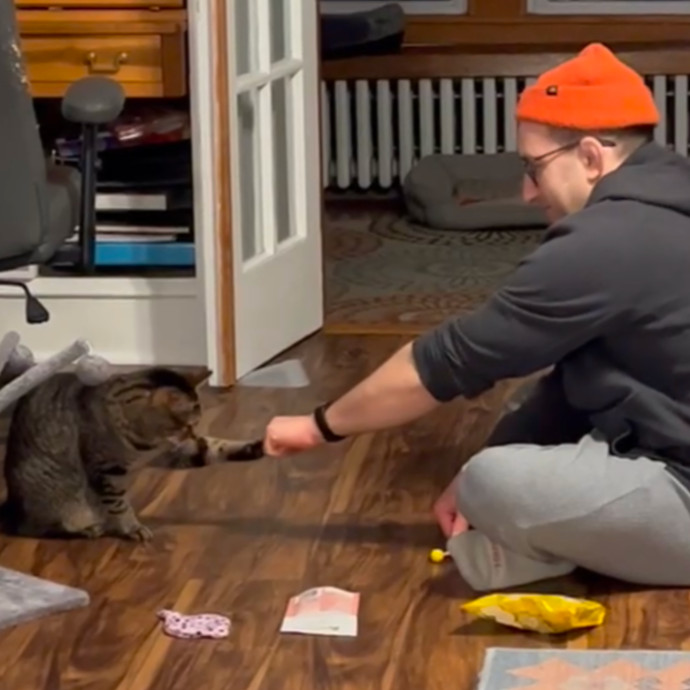 Matt's Peace Of Mind Cat Sitting