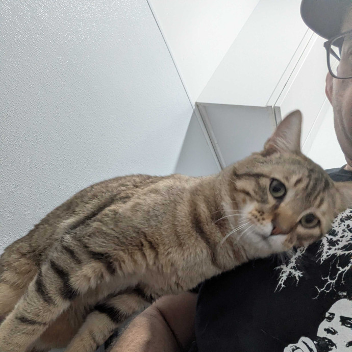 Matt's Peace Of Mind Cat Sitting photo 3