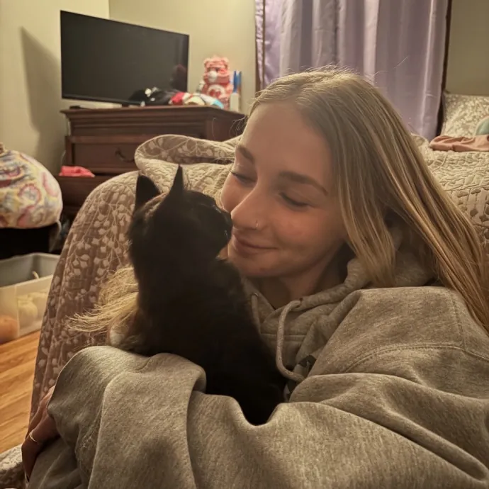 Life-Long Cat Lover  Reliable Sitter