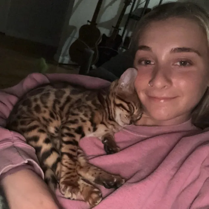 Life-Long Cat Lover  Reliable Sitter