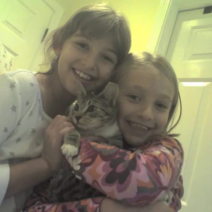 Life-Long Cat Lover  Reliable Sitter