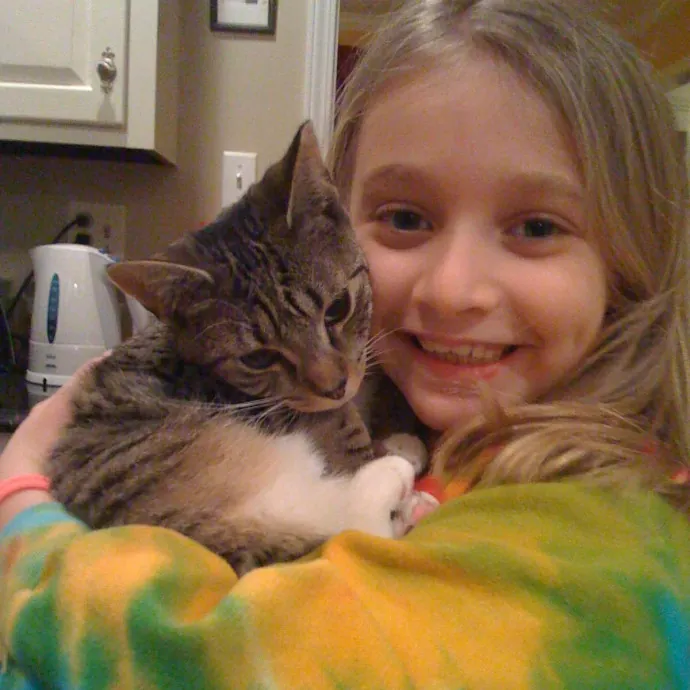 Life-Long Cat Lover  Reliable Sitter
