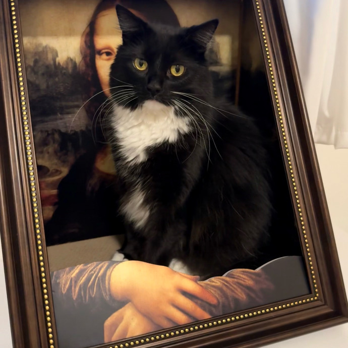 B's Pawsitively Purrfect Cat Care photo 2